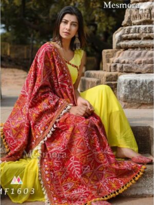 Crimson red cotton dupatta designs set for women in delhi | Priya Chaudhary