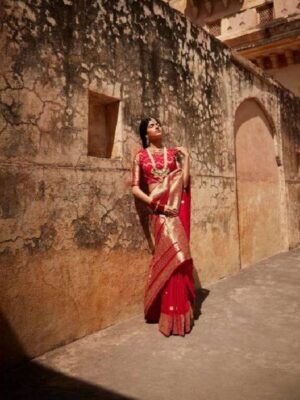 Red Fancy Party Wear Saree