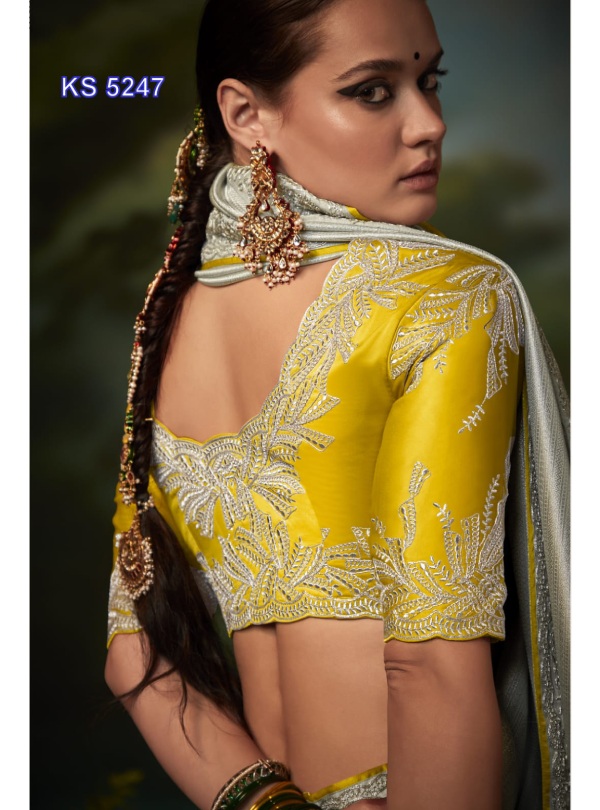 Stunning Party Wear Saree - Image 2