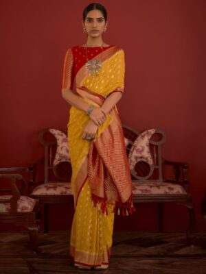 Beautiful Yellow And Red Party Wear Saree
