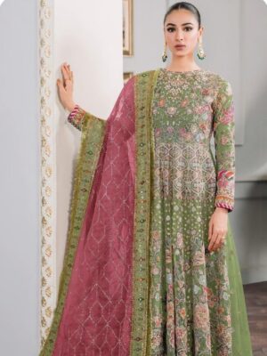 Pakistani Embroidered Butterfly Net Dress