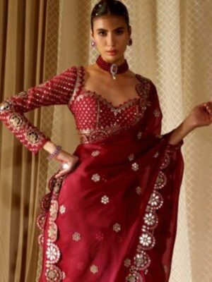 Bollywood Blockbuster Mirror Work Saree (2)