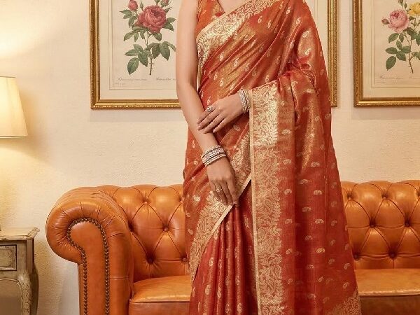 Tissue Silk Fabric Saree (4)