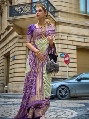 Trirath Rewa Patola Silk Saree